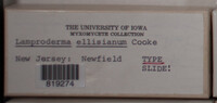 Image Associated With the Occurence
